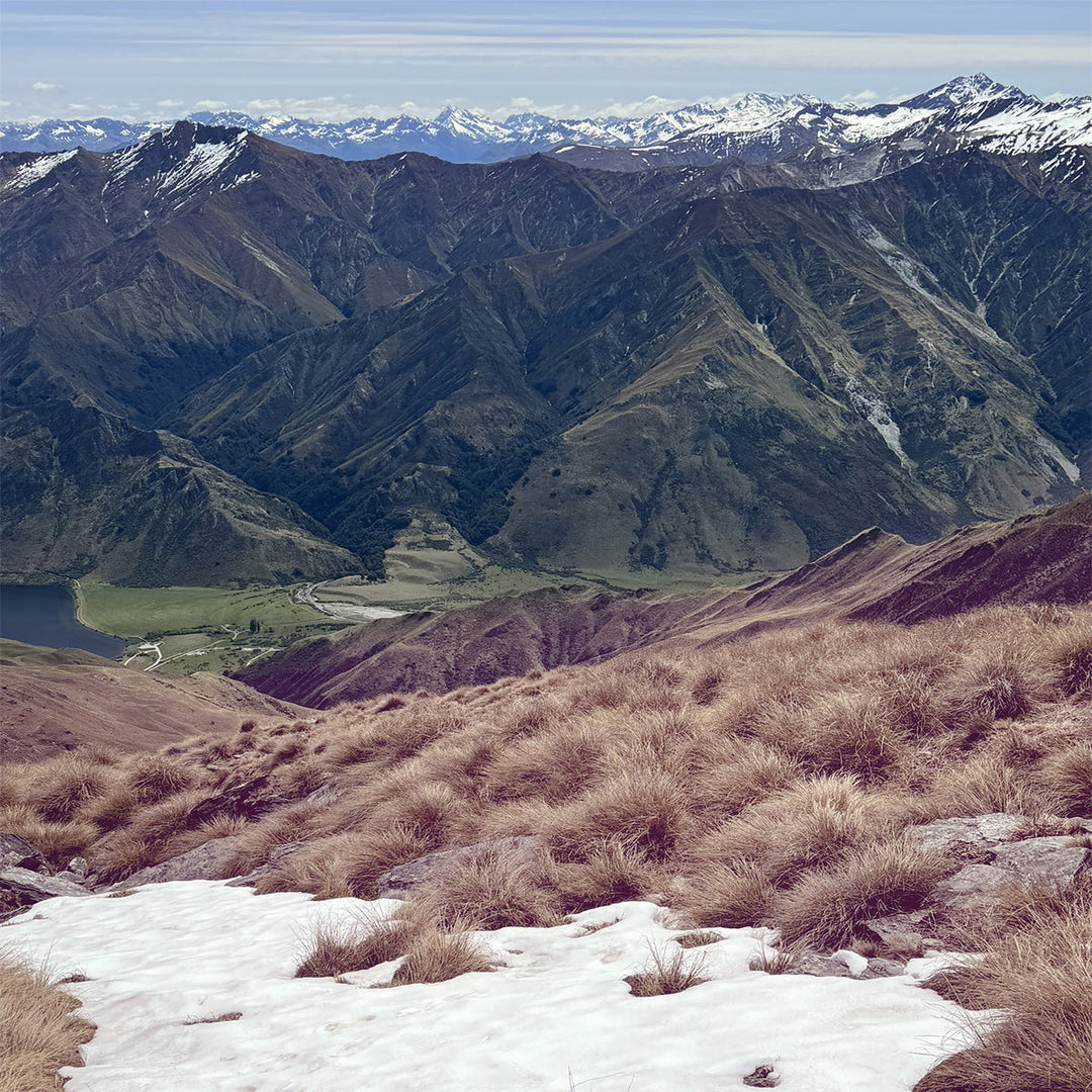 New Zealand
