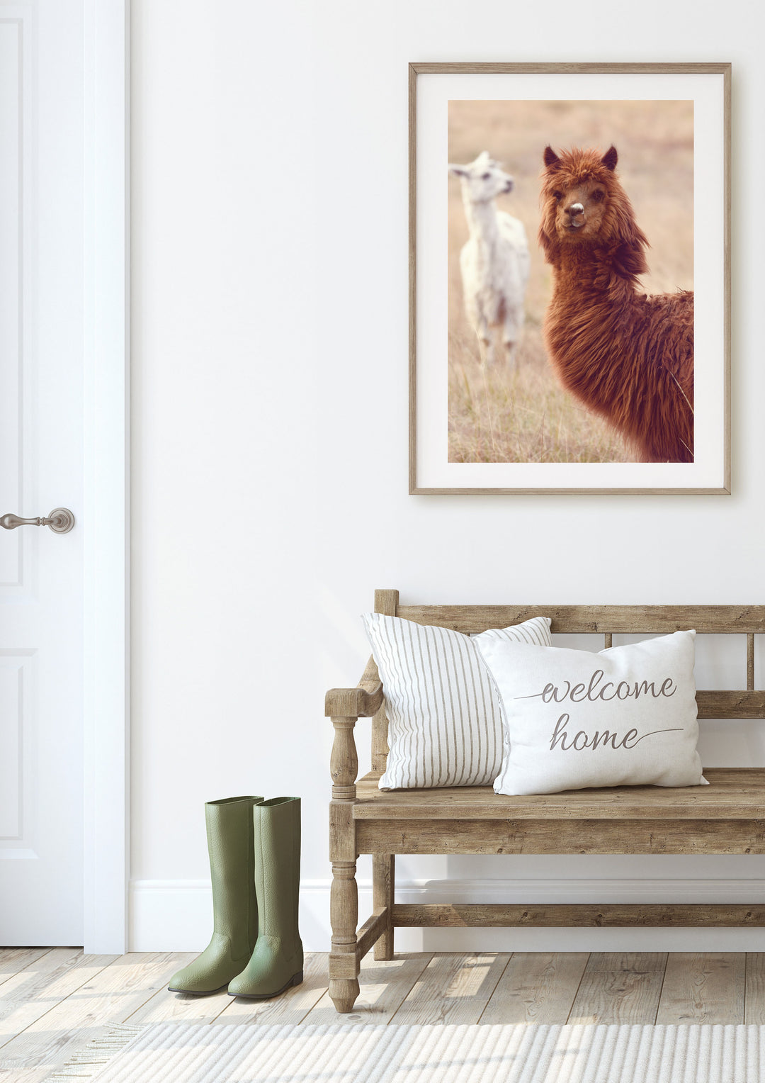 ALPACA BROS