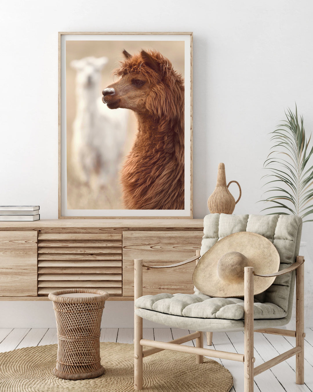 BRUCE & STEVE ALPACA