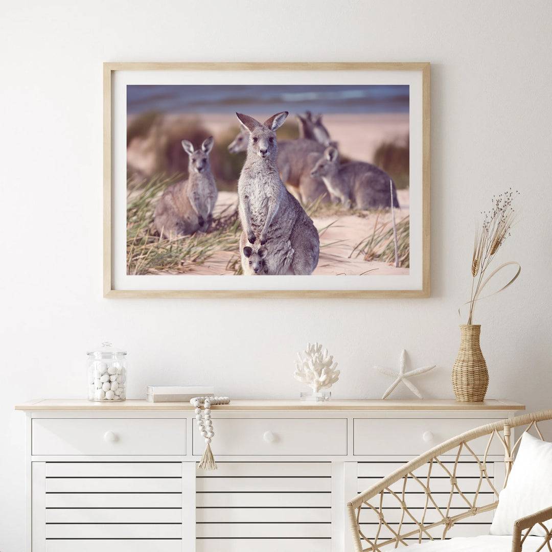 SOUTH COAST BEACH ROOS