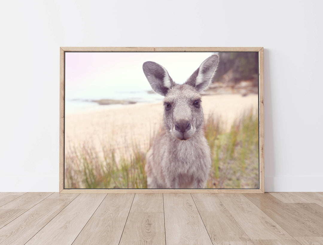 ROO STAND OFF