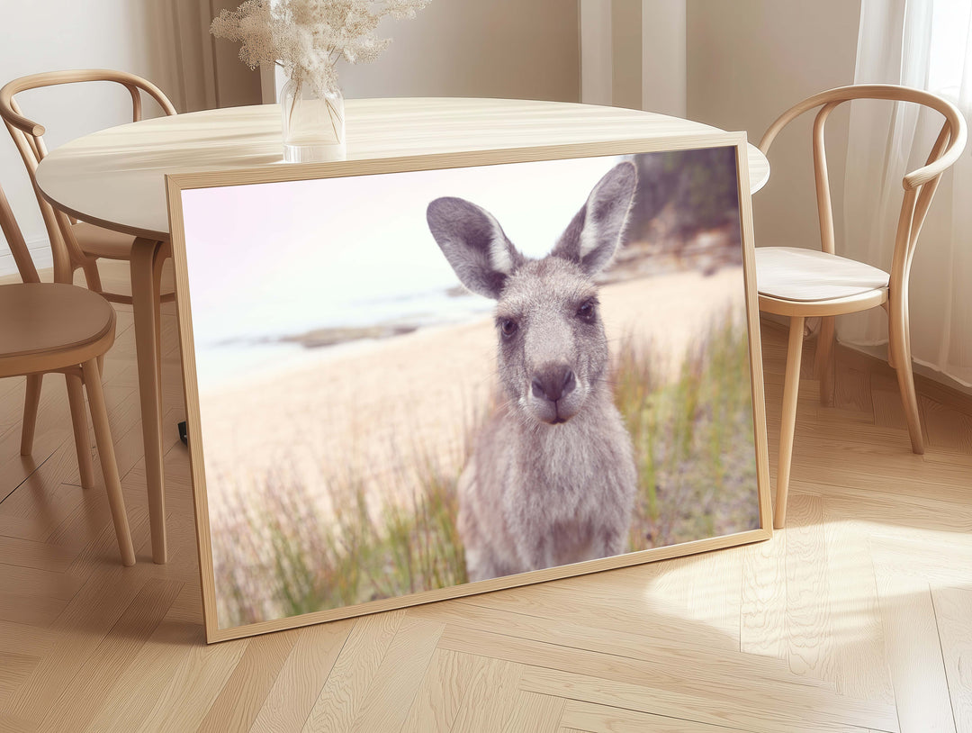 ROO STAND OFF
