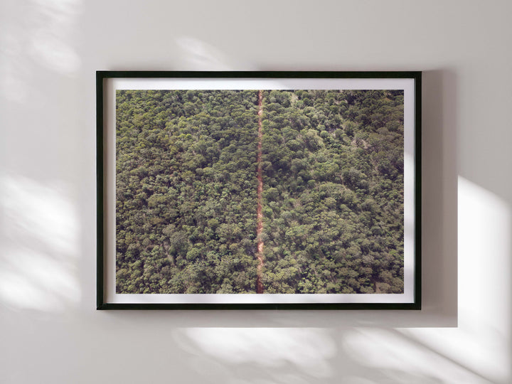 THE OAKS TRAIL III