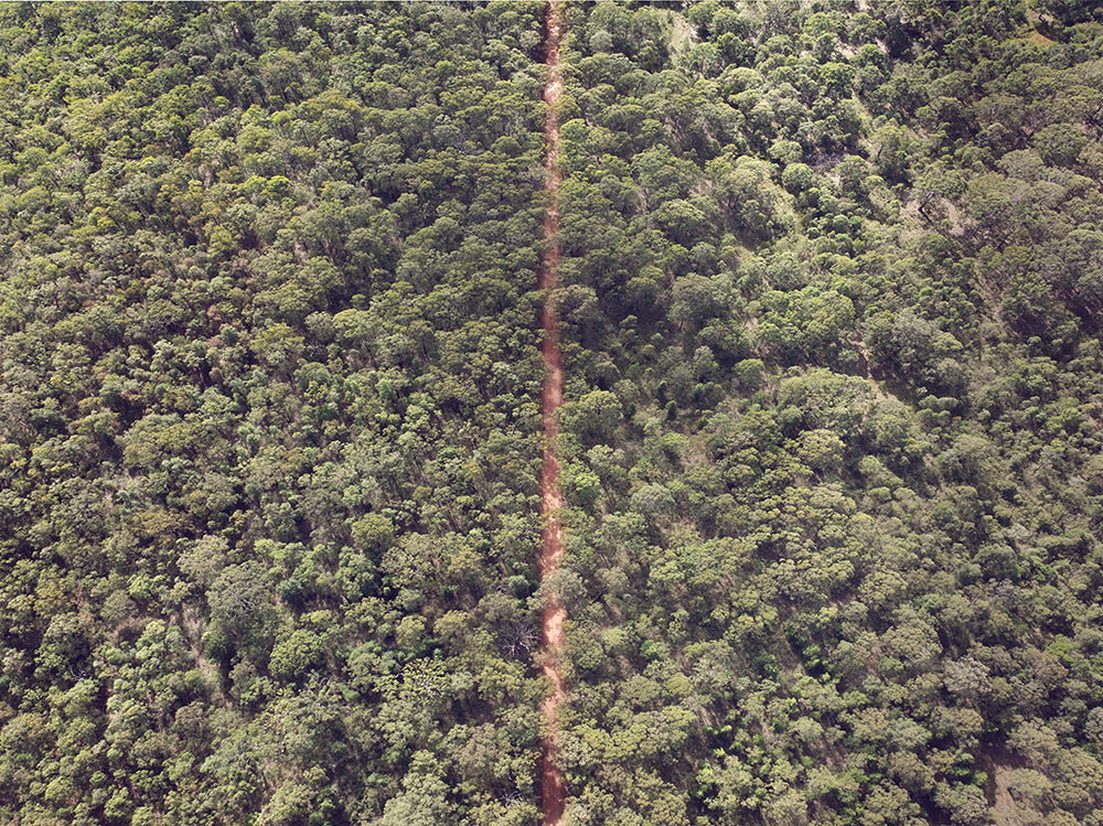 THE OAKS TRAIL III