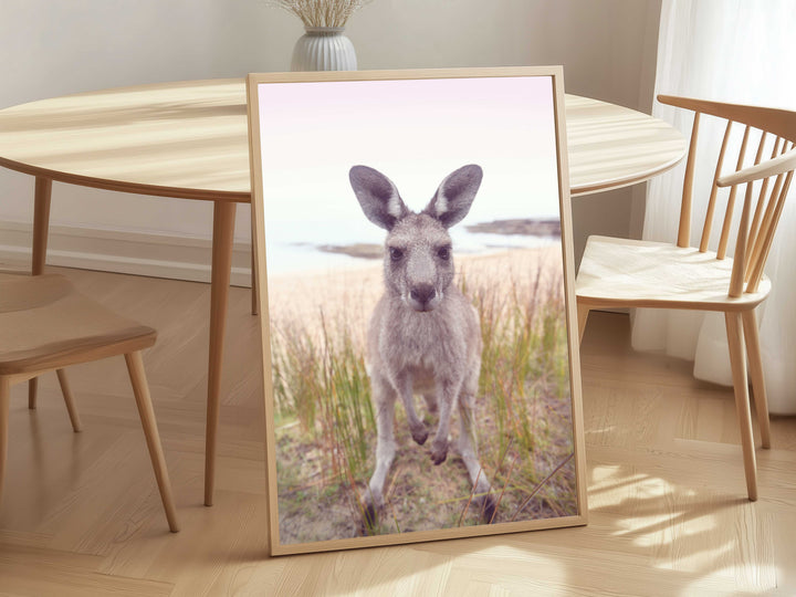 ROO STARE