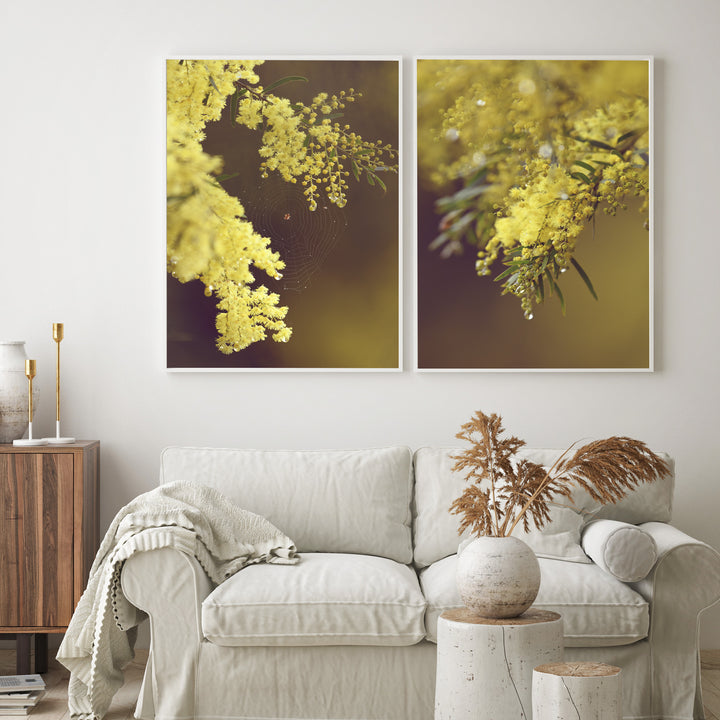 SET OF 2 - AFTER THE RAIN