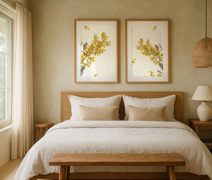 SET OF 2 - AUSTRALIAN WATTLE