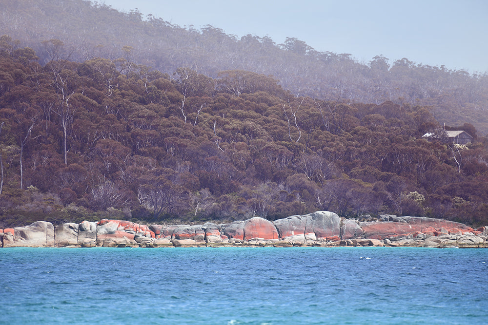 BAY OF FIRES HUT