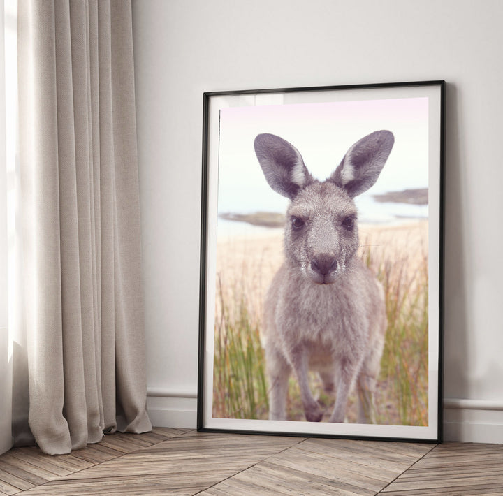 ROO STARE II