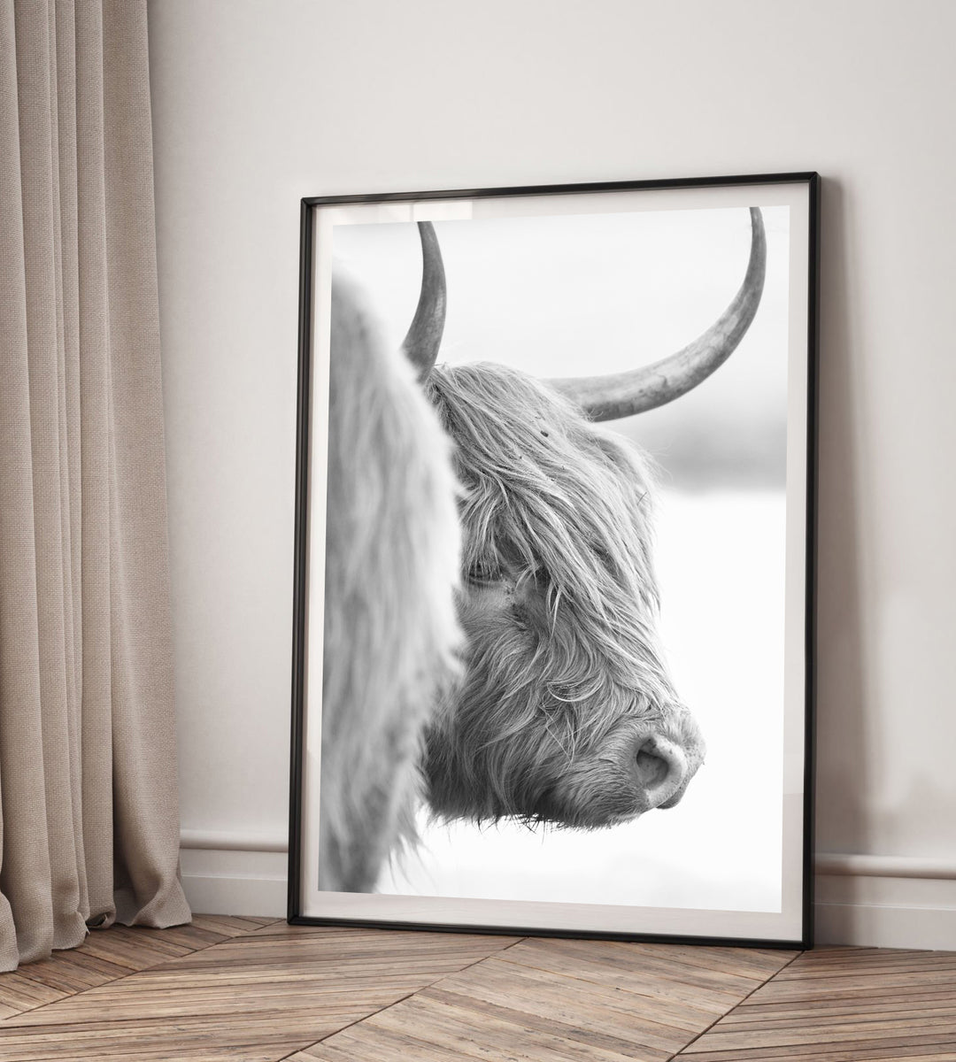 DIXIE THE HIGHLAND COW III BLACK AND WHITE