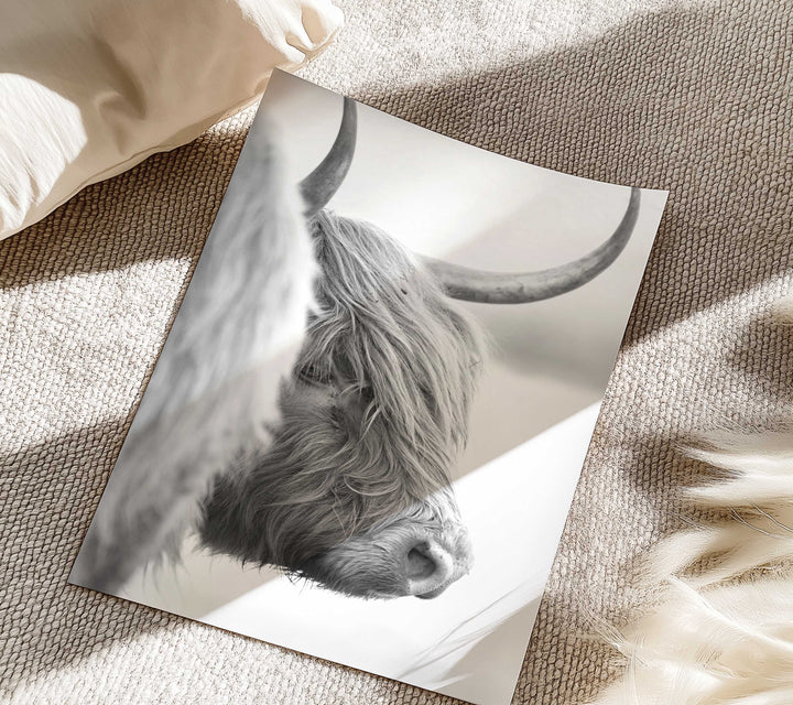 DIXIE THE HIGHLAND COW III BLACK AND WHITE