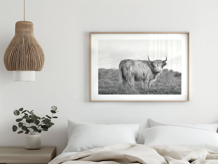 DIXIE THE HIGHLAND COW II BLACK AND WHITE