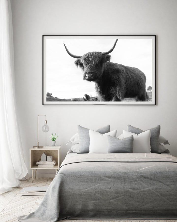 FRANK THE HIGHLAND COW BLACK AND WHITE