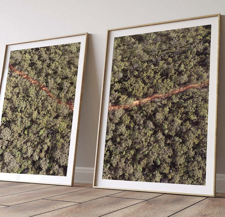 SET OF 2 - SUMMER ON THE OAKS TRAIL, BLUE MOUNTAINS