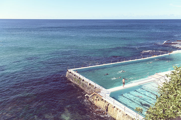 SUNNY ICEBERGS