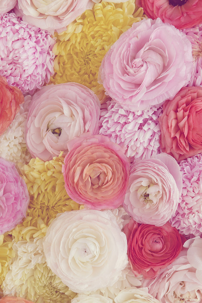 SET OF 2 – SPRING LOVE