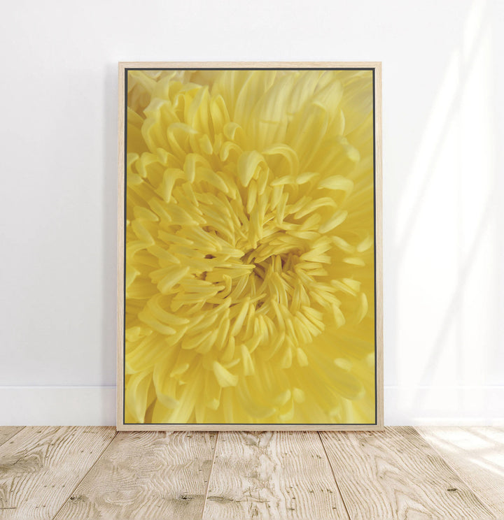 YELLOW MUMS HEART