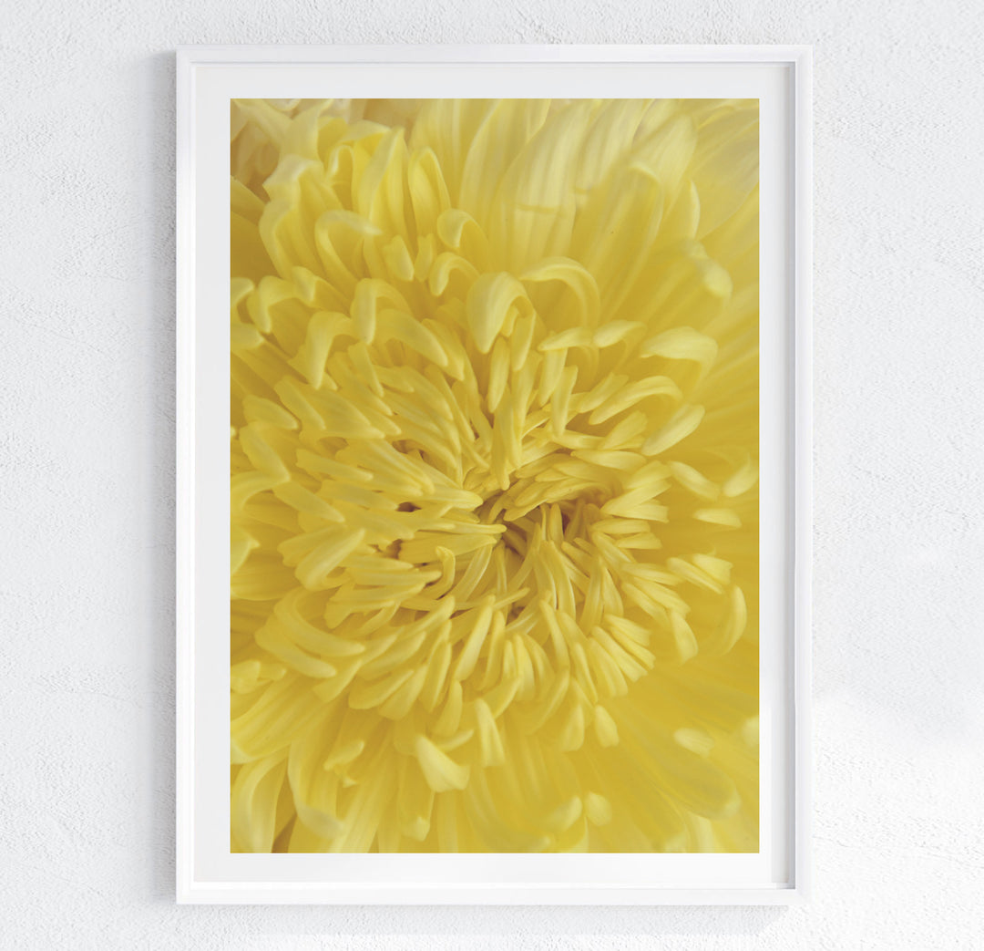 YELLOW MUMS HEART