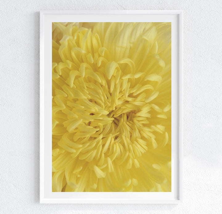 YELLOW MUMS HEART
