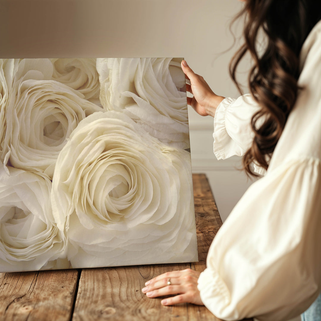 WHITE RANUNCULUS LANDSCAPE