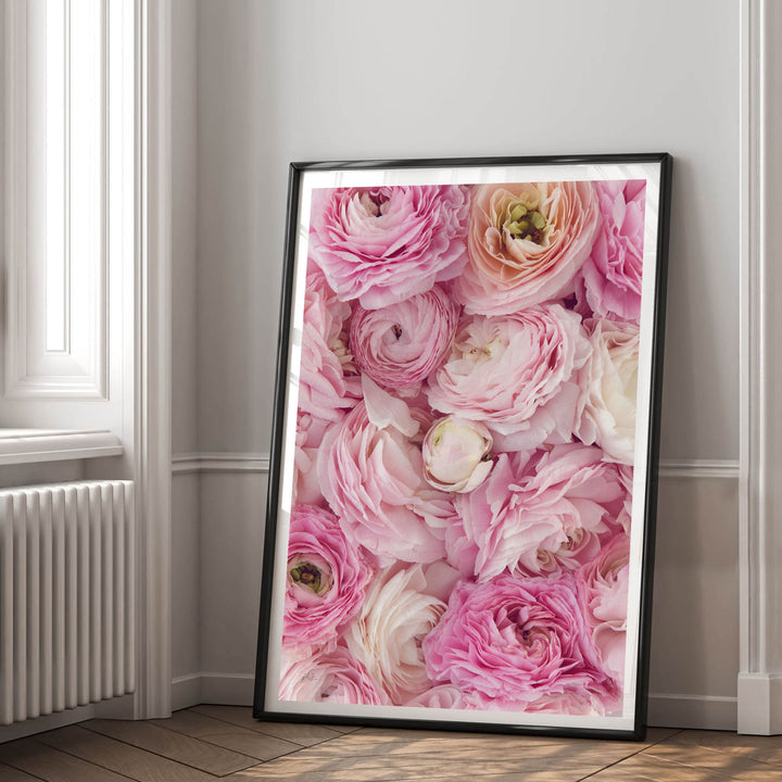PINK RANUNCULUS PORTRAIT