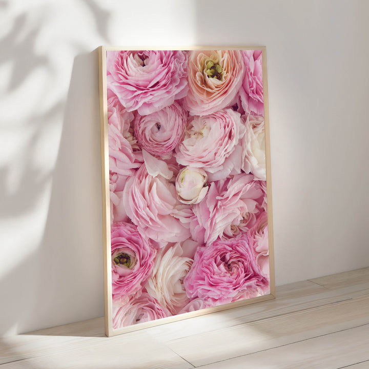 PINK RANUNCULUS PORTRAIT