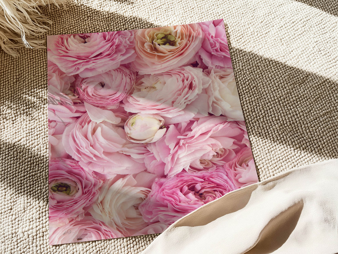 PINK RANUNCULUS PORTRAIT