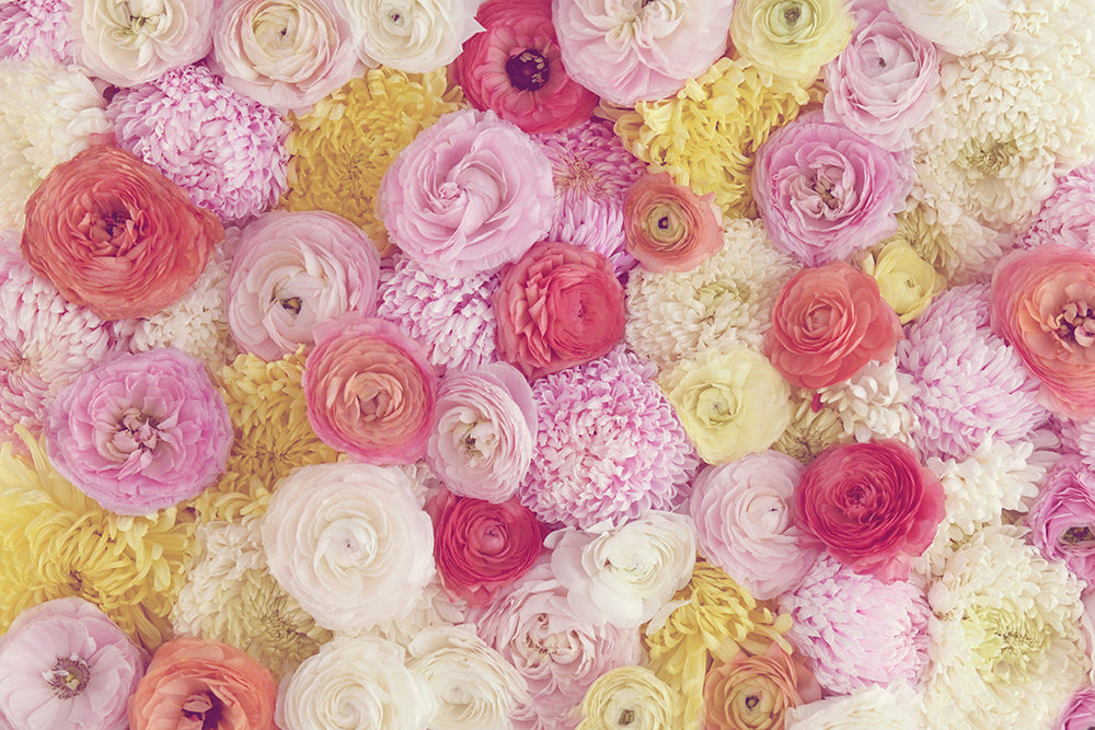 SPRING LOVE LANDSCAPE