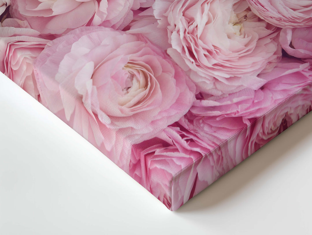 PINK OMBRE LANDSCAPE