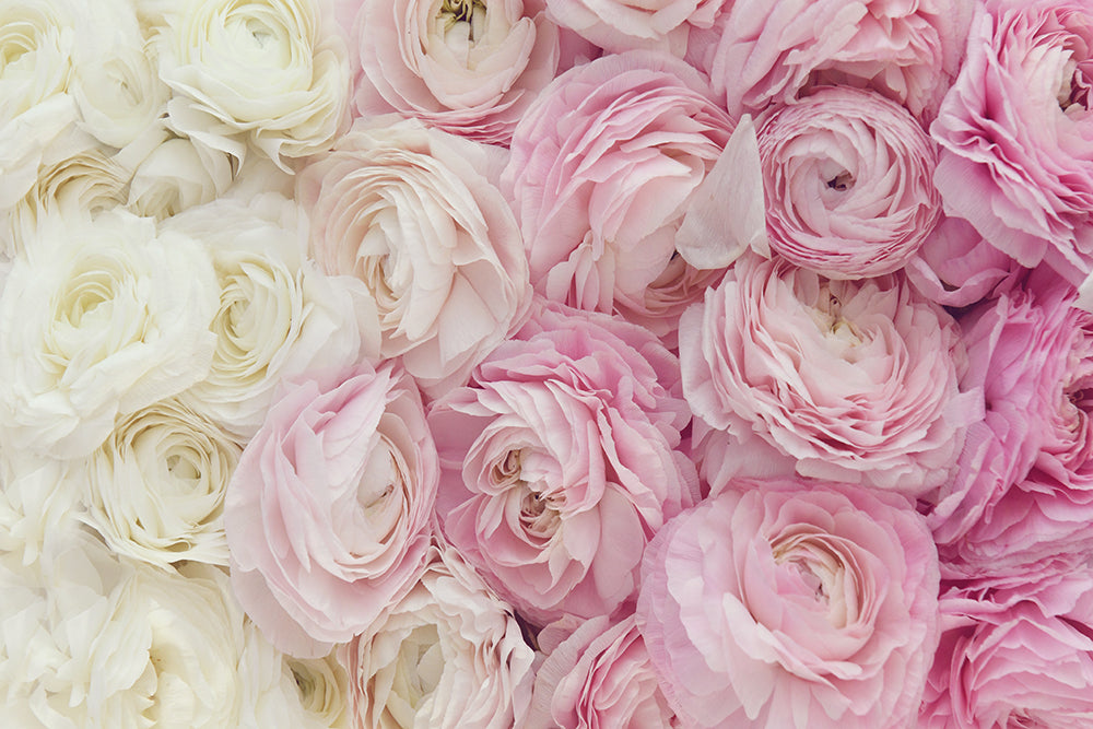 PINK OMBRE LANDSCAPE