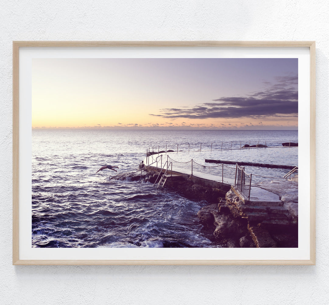 BRONTE DIVE