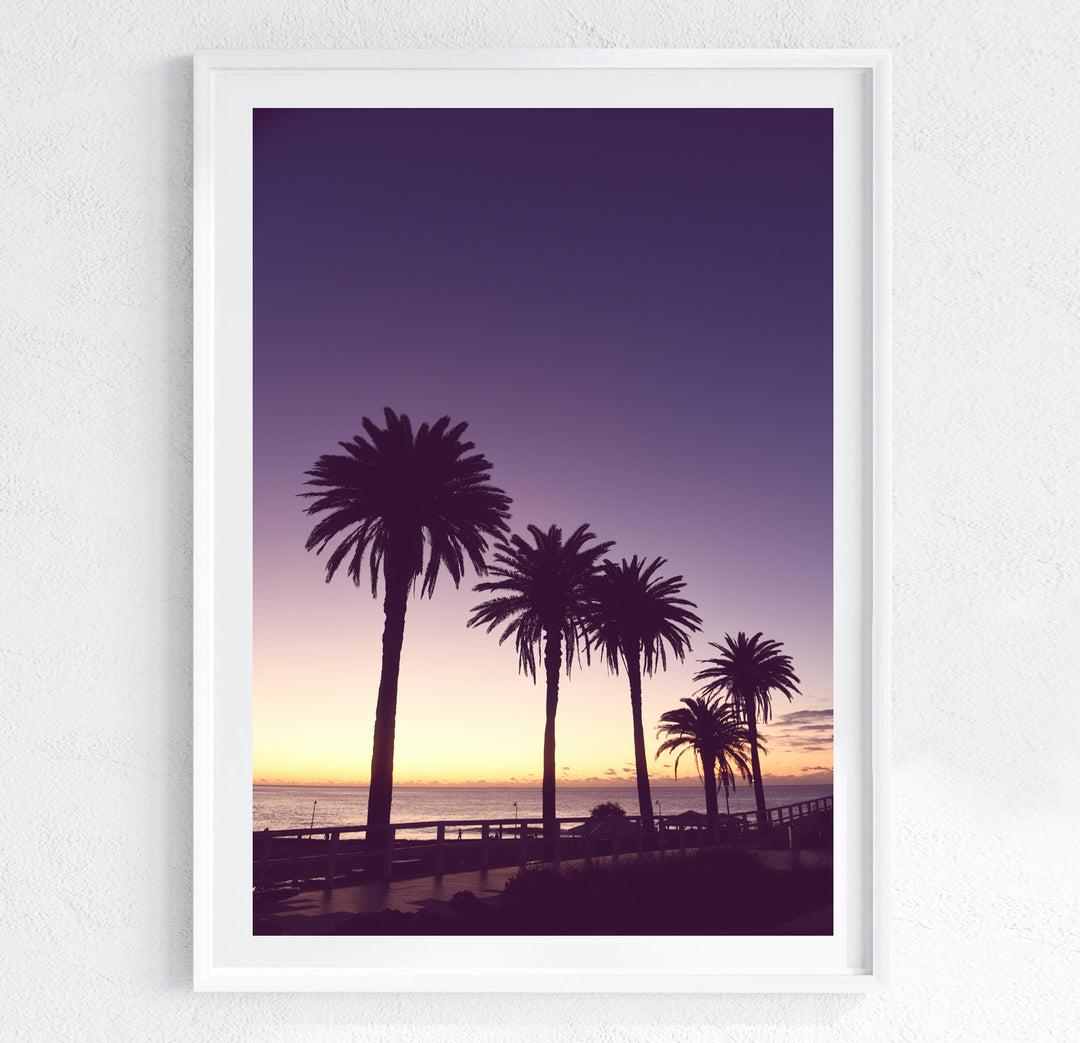 MORNING PALMS BRONTE
