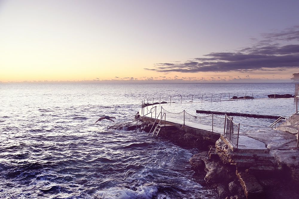 BRONTE DIVE