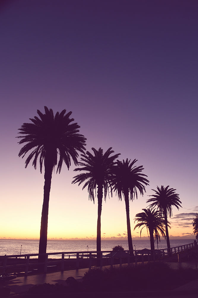 SET OF 2 - WINTER BRONTE SUNRISE