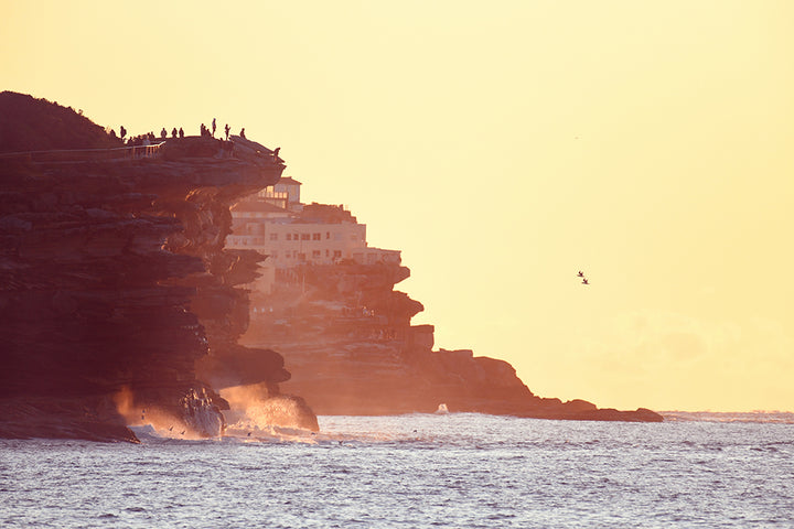 BRONTE SUNRISE CATCHERS LANDSCAPE