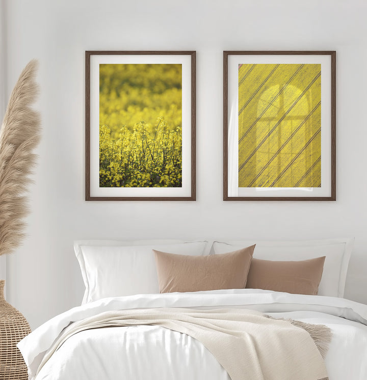 SET OF 2 - CANOLA NEAR & FAR