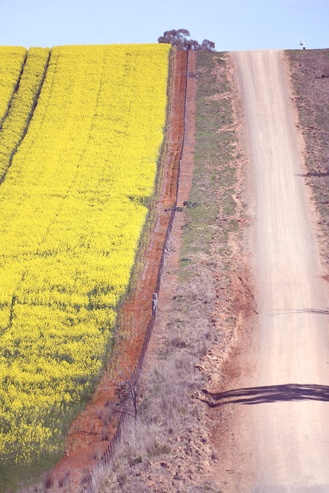 SET OF 2 – THE BACK ROAD