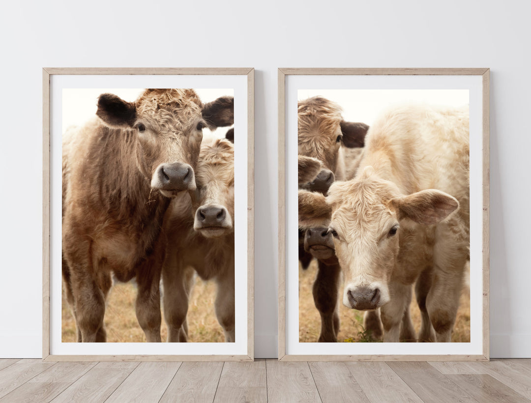 SET OF 2 - CARAMEL COWS