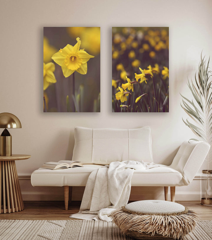 SET OF 2 – DAFFODIL PAIR
