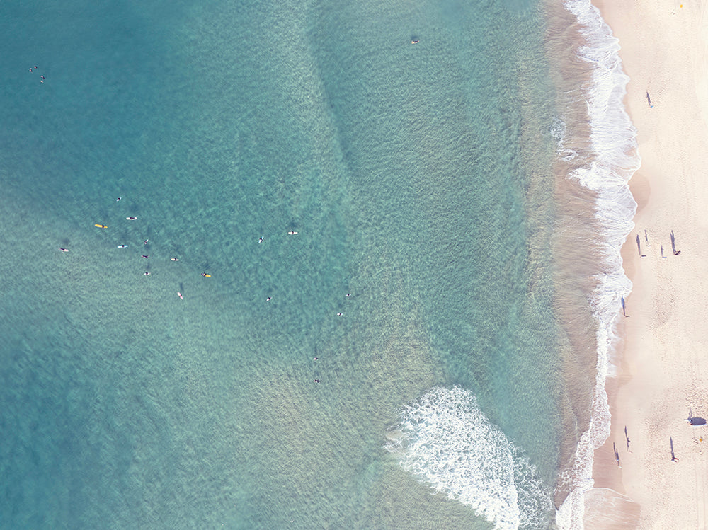BONDI MORNING SURF LANDSCAPE