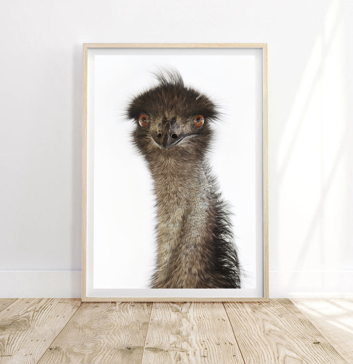 COLIN EMU