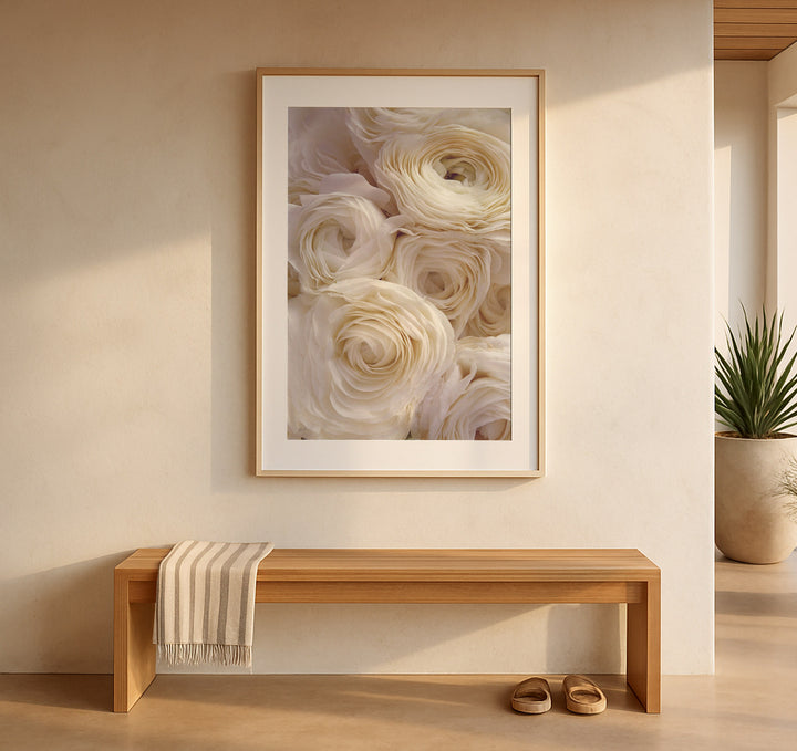 WHITE RANUNCULUS PORTRAIT