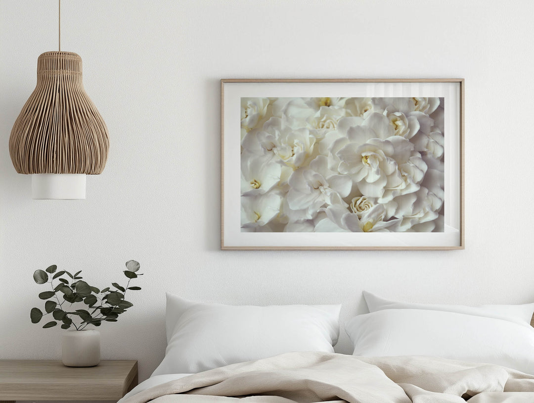 GARDENIA FLOW LANDSCAPE