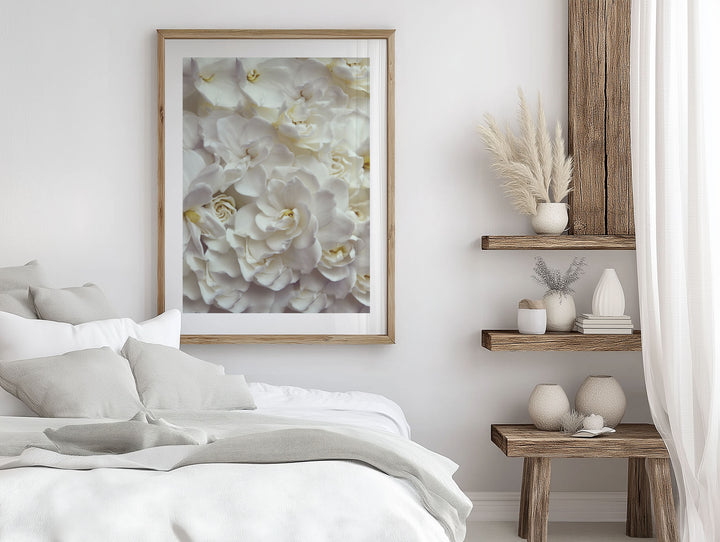 GARDENIA FLOW PORTRAIT