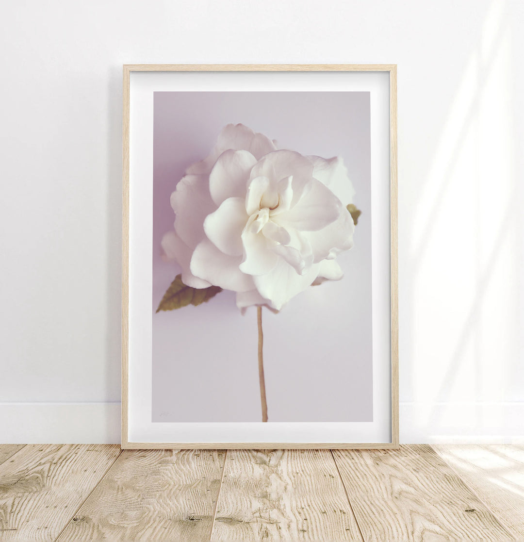 SMELLS LIKE CHRISTMAS