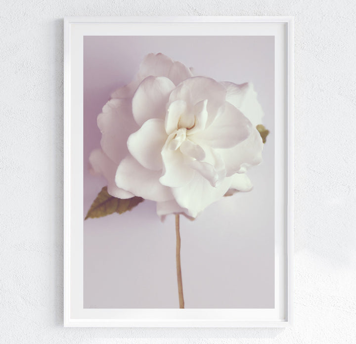 SMELLS LIKE CHRISTMAS