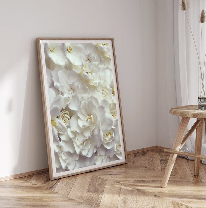 GARDENIA FLOW PORTRAIT