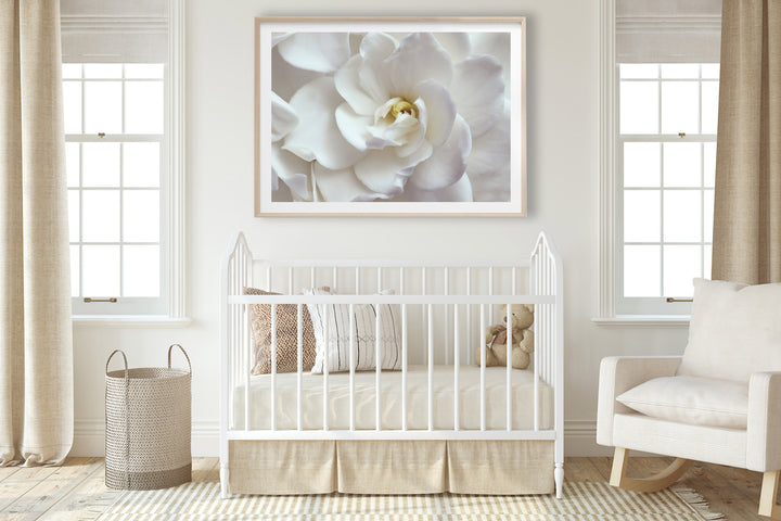 GARDENIA SMILE LANDSCAPE