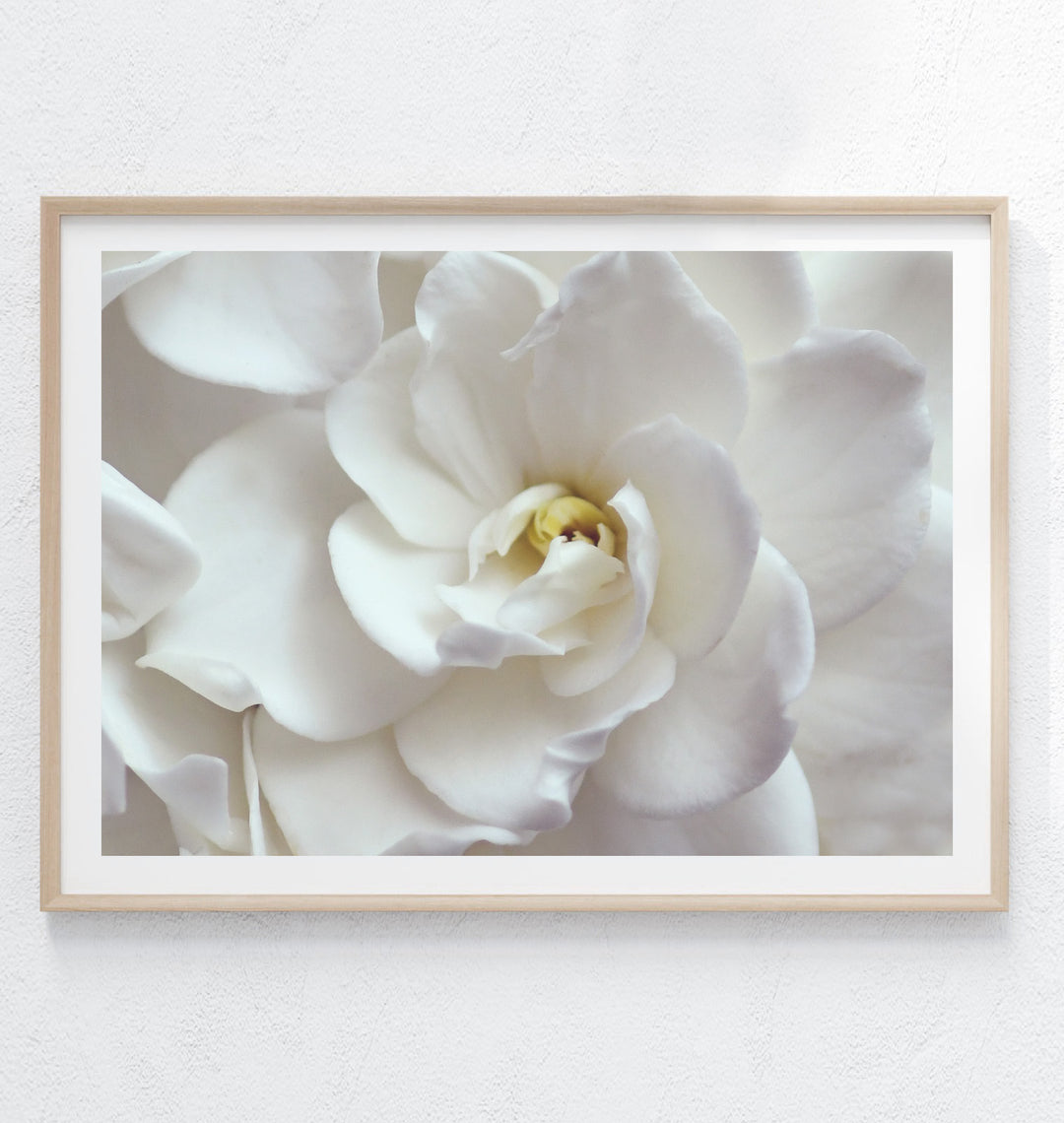 GARDENIA SMILE LANDSCAPE