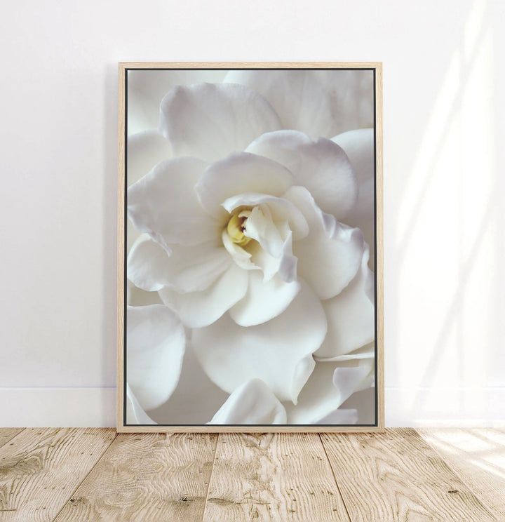 GARDENIA SMILE PORTRAIT